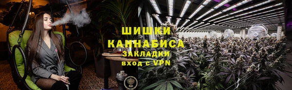 прущая мука Арсеньев