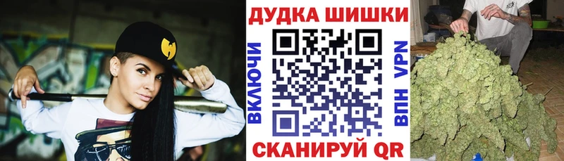 где купить   Сурск  Бошки Шишки гибрид 